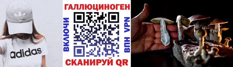 где найти наркотики  Константиновск  даркнет официальный сайт  Псилоцибиновые грибы MAGIC MUSHROOMS 